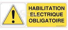 Habilitation électrique BS