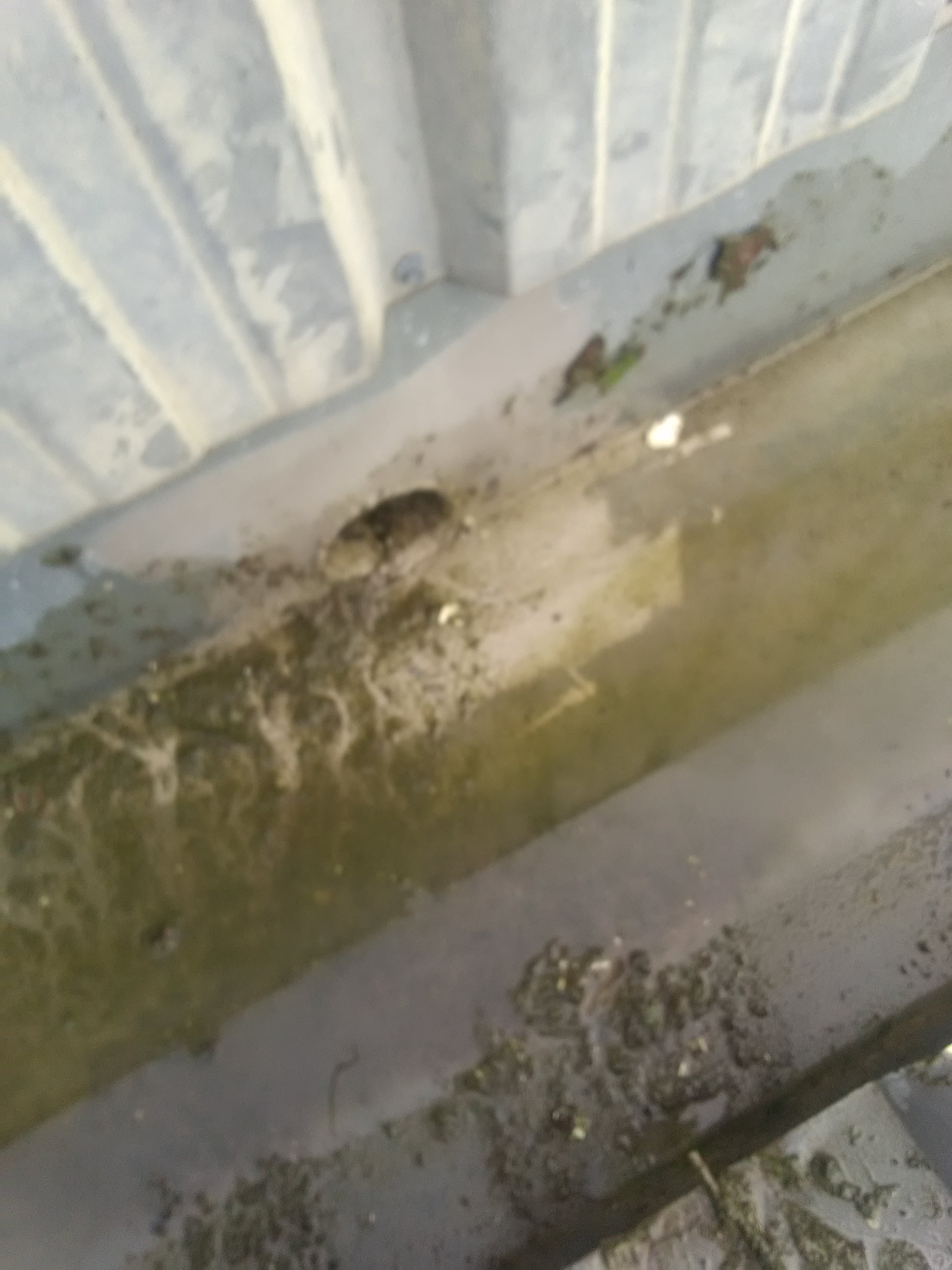 Des naissances propres et en bon état