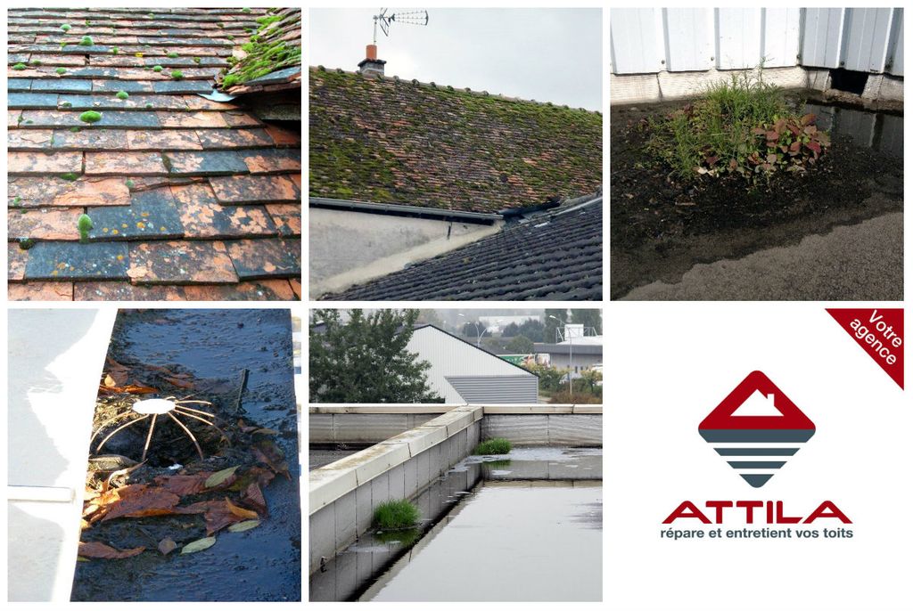 Contrat d'entretien chez attila 