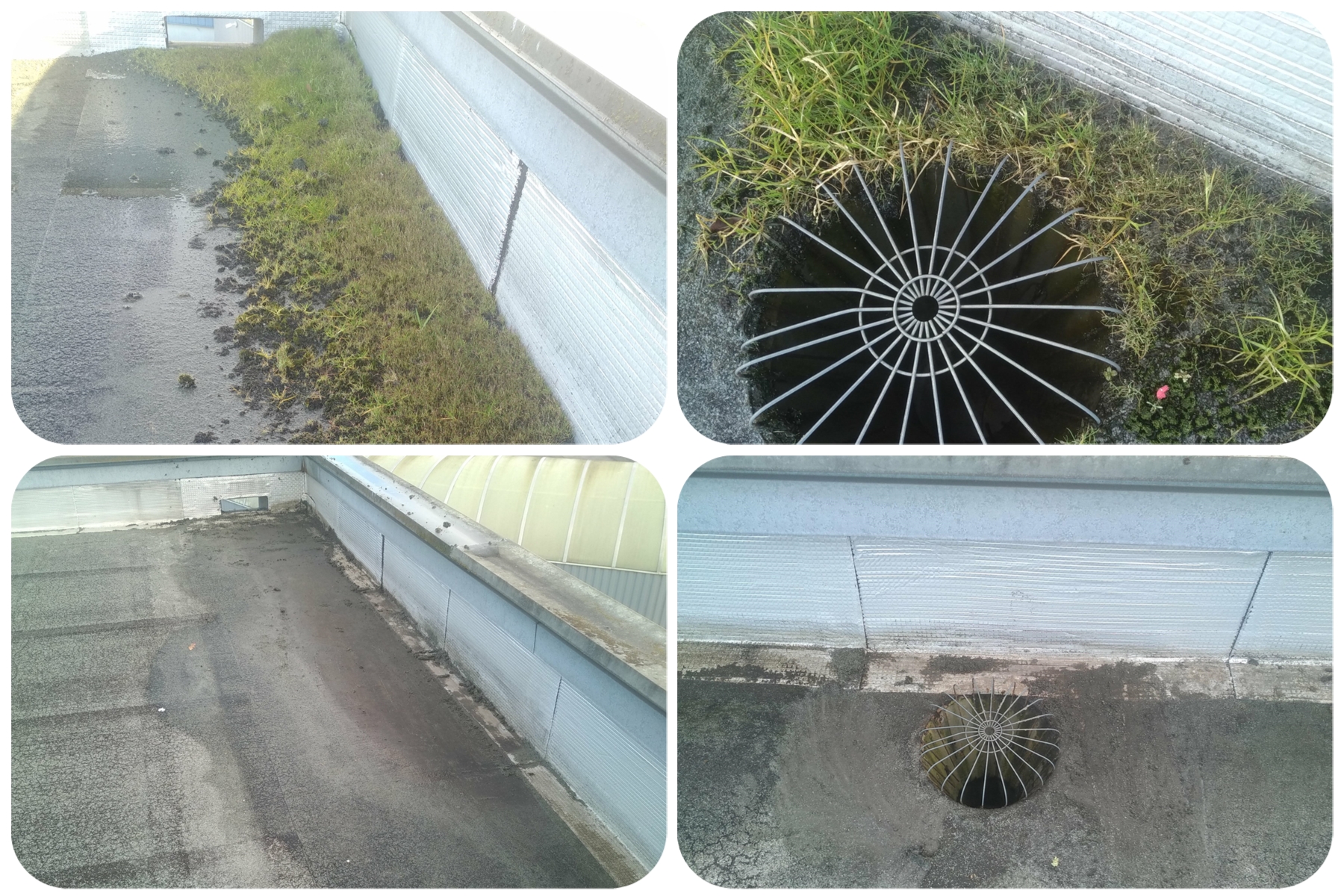 Entretien toiture Attila Blanquefort