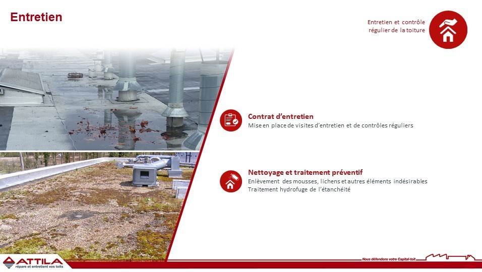 entretien toitures