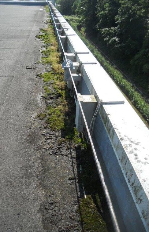 Invasion-de-mousse-sur-votre-toiture-industrielle-en-Seine-et-Marne