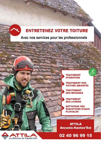 TRAITEMENT DE TOITURE