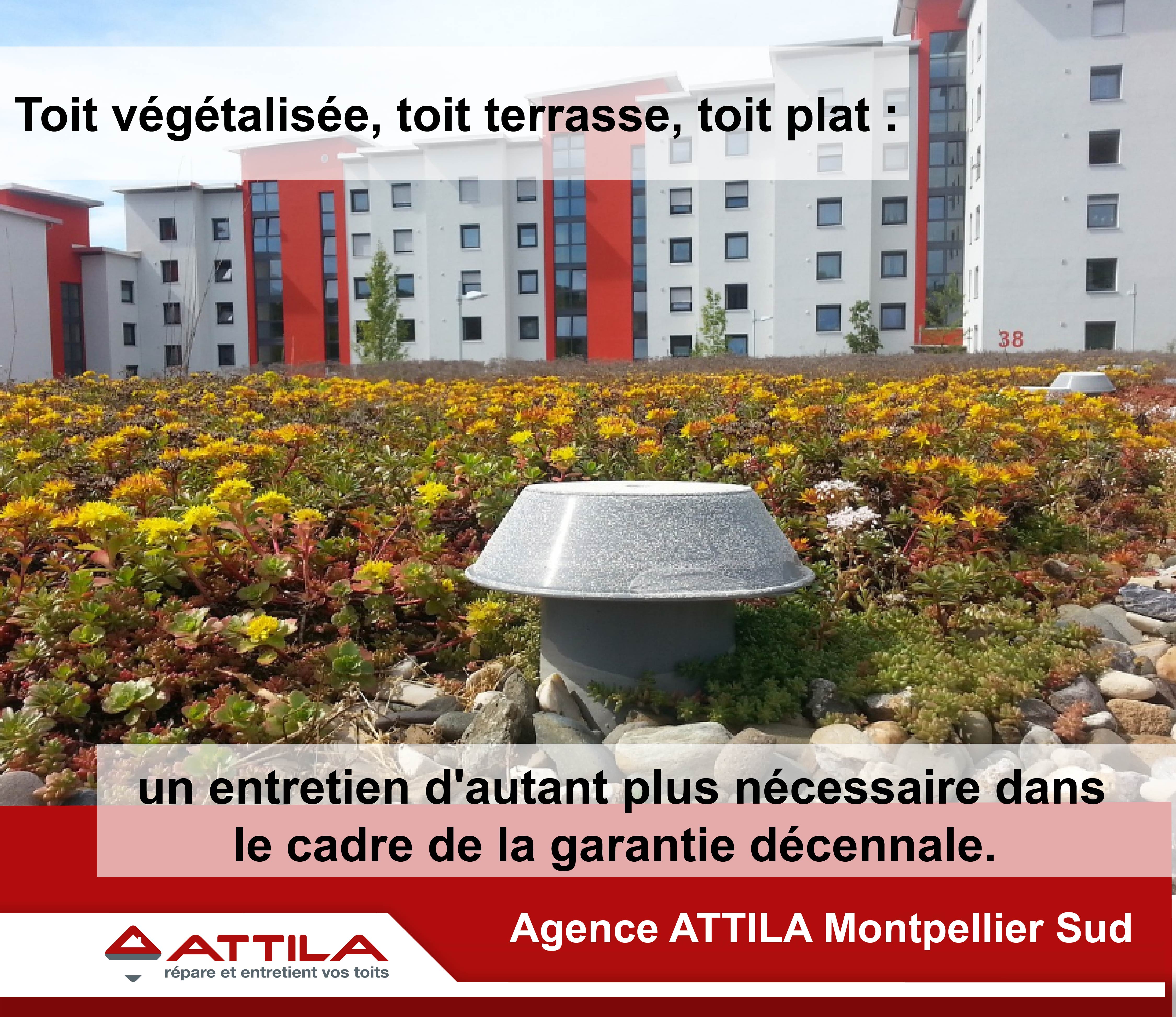 entretien toit vege