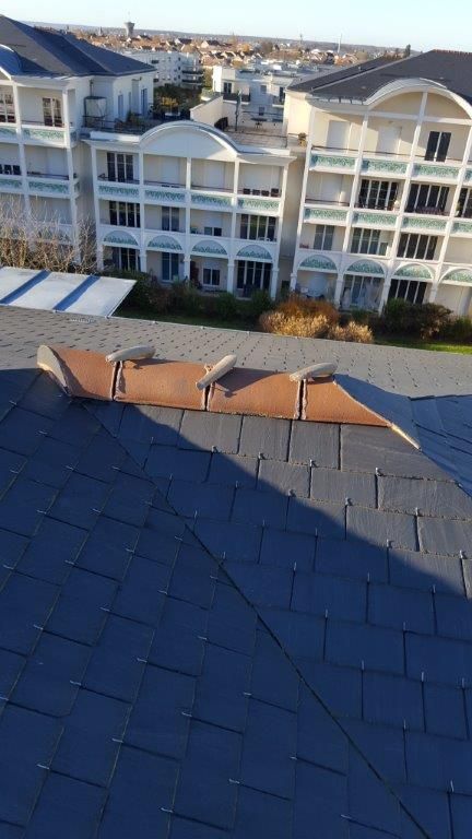 Crêtes-de-coq-sur-toiture-traditionnelle-en-Seine-en-Marne