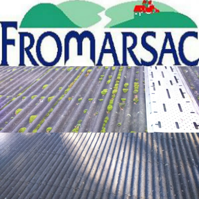 Entretien de  FROMARSAC