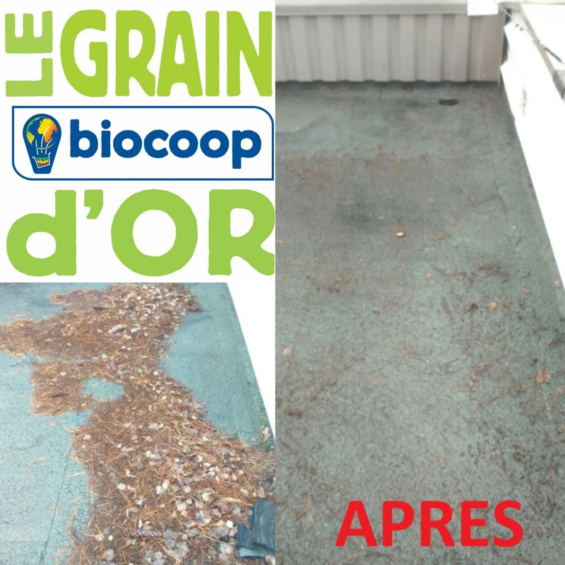 nettoyage de la toiture