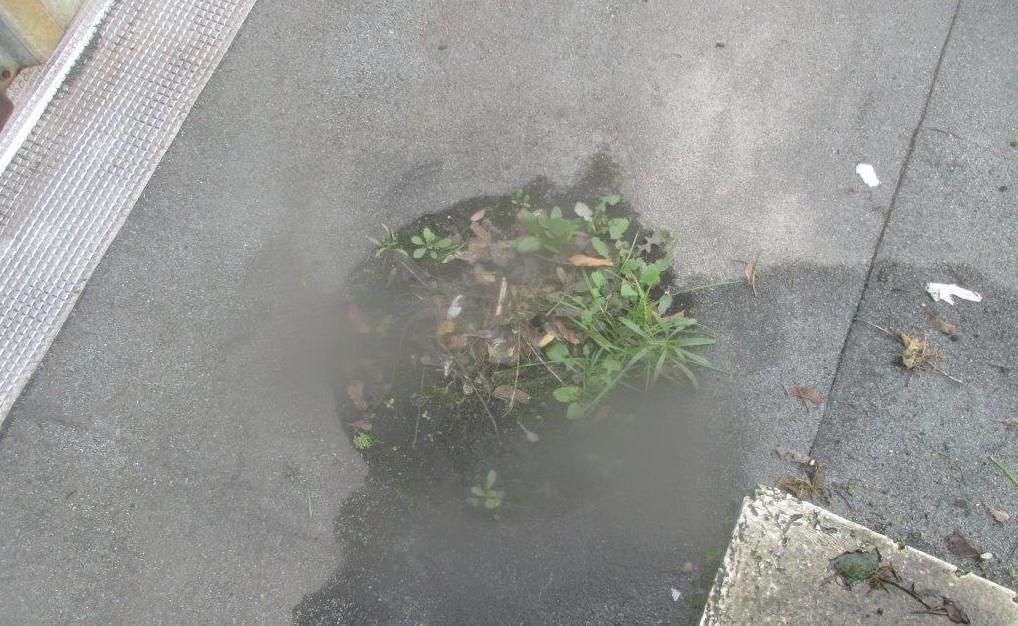 Évacuation-encombrée-toiture-industrielle-Seine-et-Marne-77