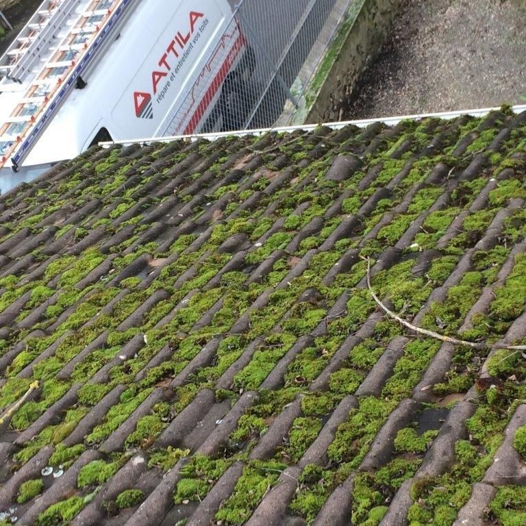 invasion-de-mousse-sur-toiture-traditionnelle-en-Seine-et-Marne-77