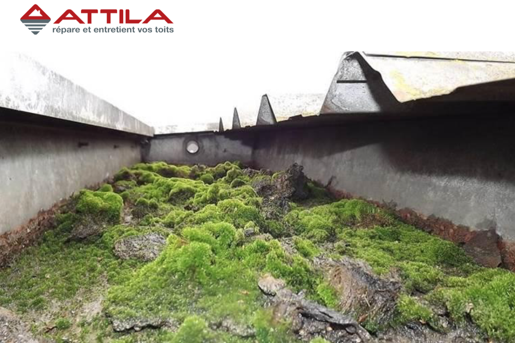 dégradation-toiture-terrasse-77