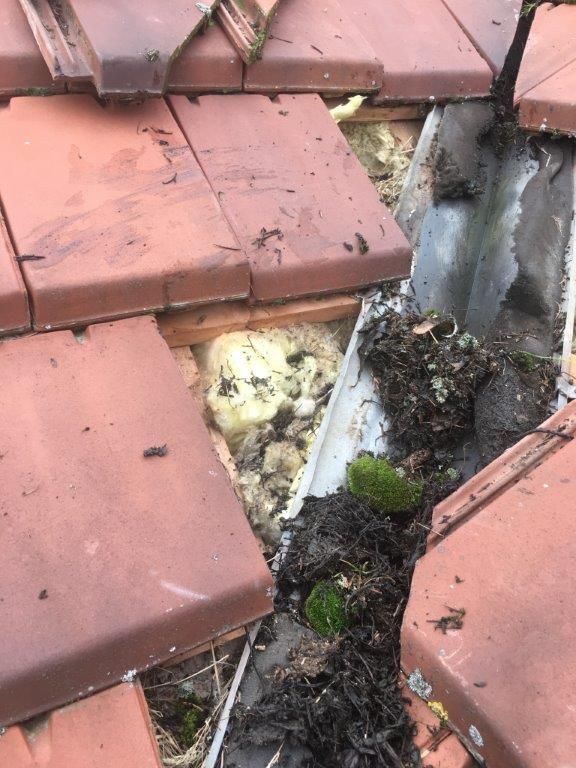 Infiltration-d-eau-sur-toiture-traditionnelle-Pontault-Combault-77