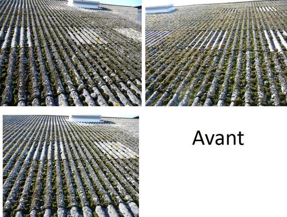 Démoussage sur Niort avant