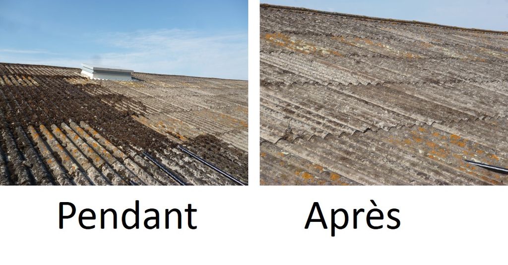 Démoussage sur Niort pendant et après