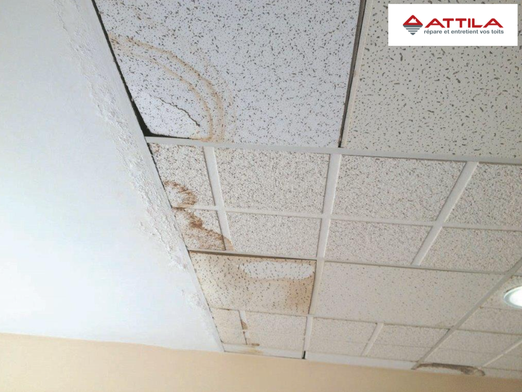 infiltration-eau-locaux-commerciaux