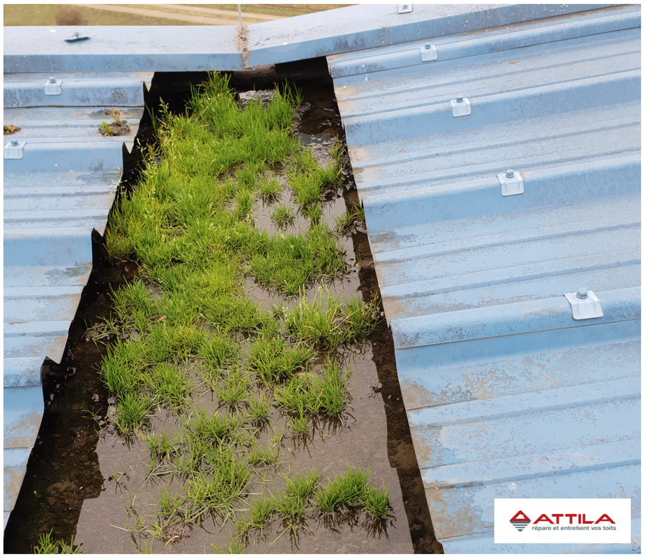 Chéneau-Practice-Golf