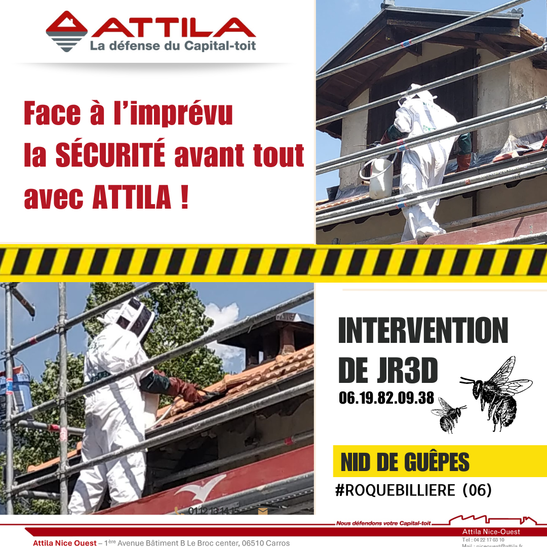 Intervention nid  de guepes sur toiture