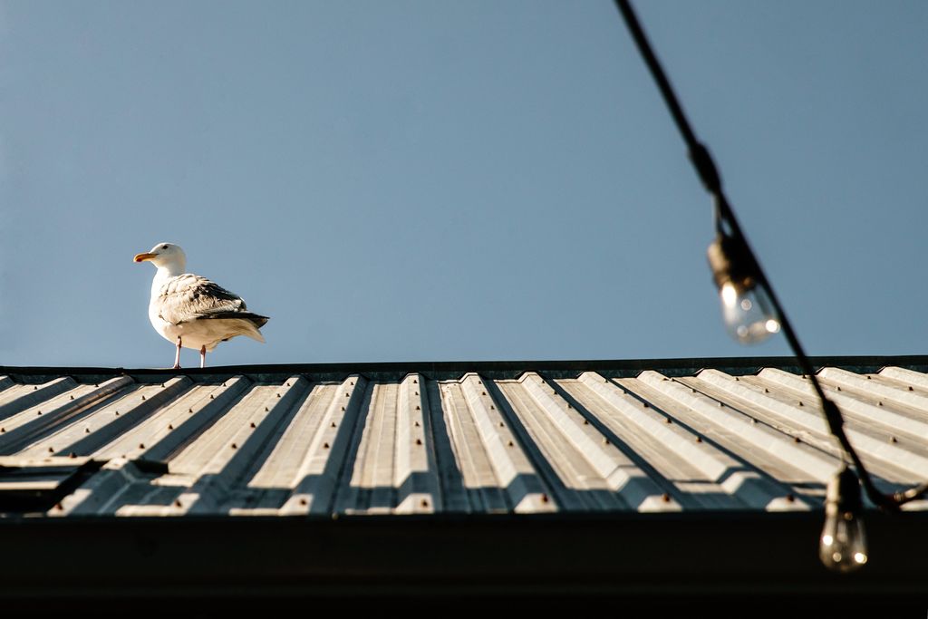ATTILA chambéry toiture sécheresse joints étanchéité fuite
