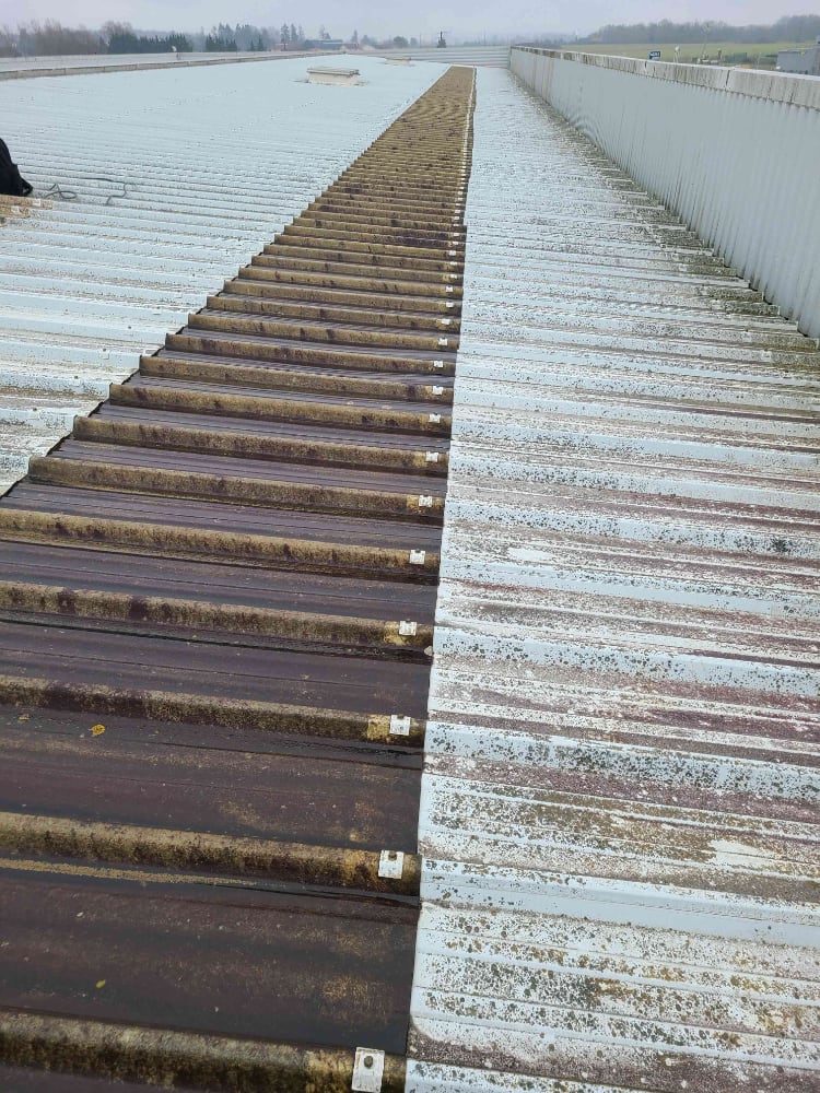 plaques de toit translucides percées à Châteaubernard Cognac