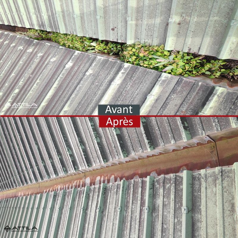 bac acier, végétaux, entretien toiture, toiture industrielle, toit terrasse, toit plat, fuite, urgence fuite, Poitiers