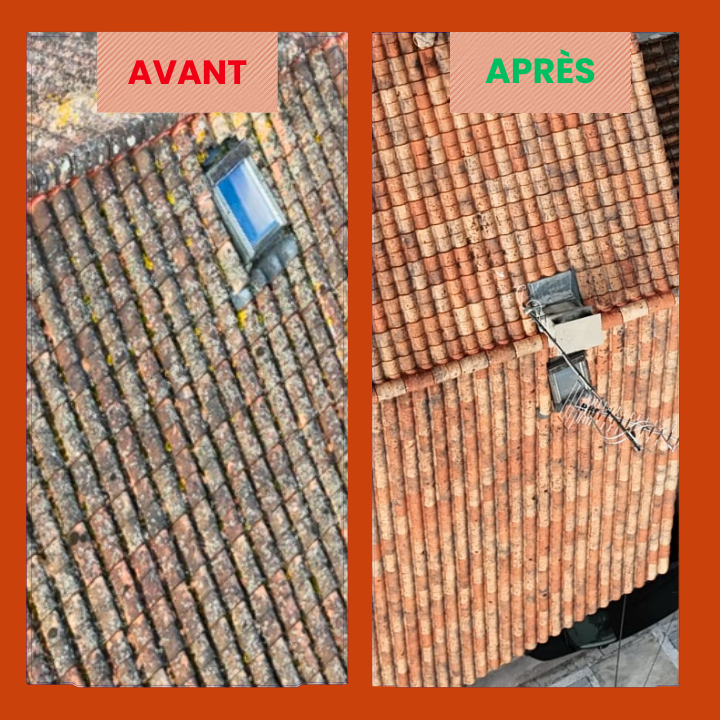 le démoussage toiture donne des résultats extraordinaires à Angoulême entretien-toiture-avant-apres-angouleme-attila