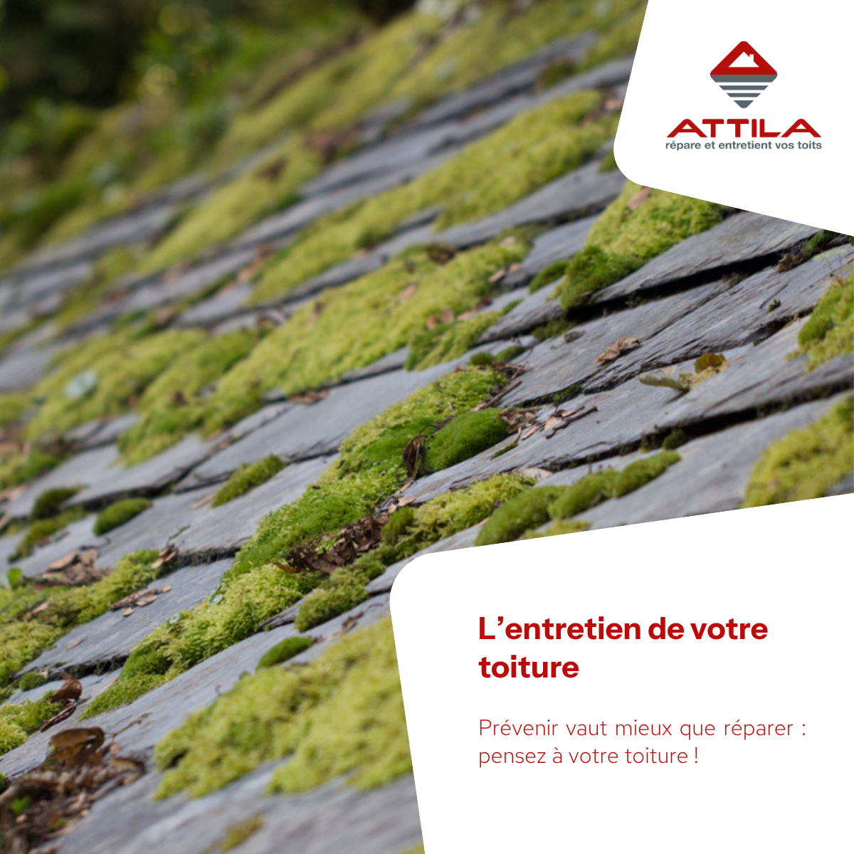 L'entretien de votre toiture