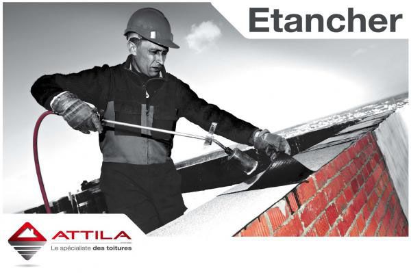 Une fuite, une infiltration, faites vérifier l'étanchéité de votre toit