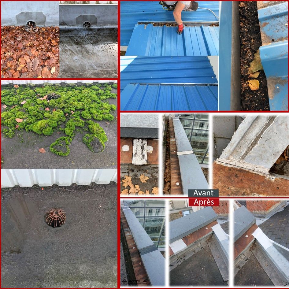 entretien-toitures-professionnelles