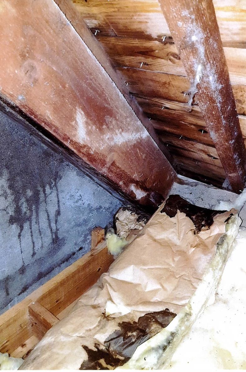 infiltration dans les combles.jpg