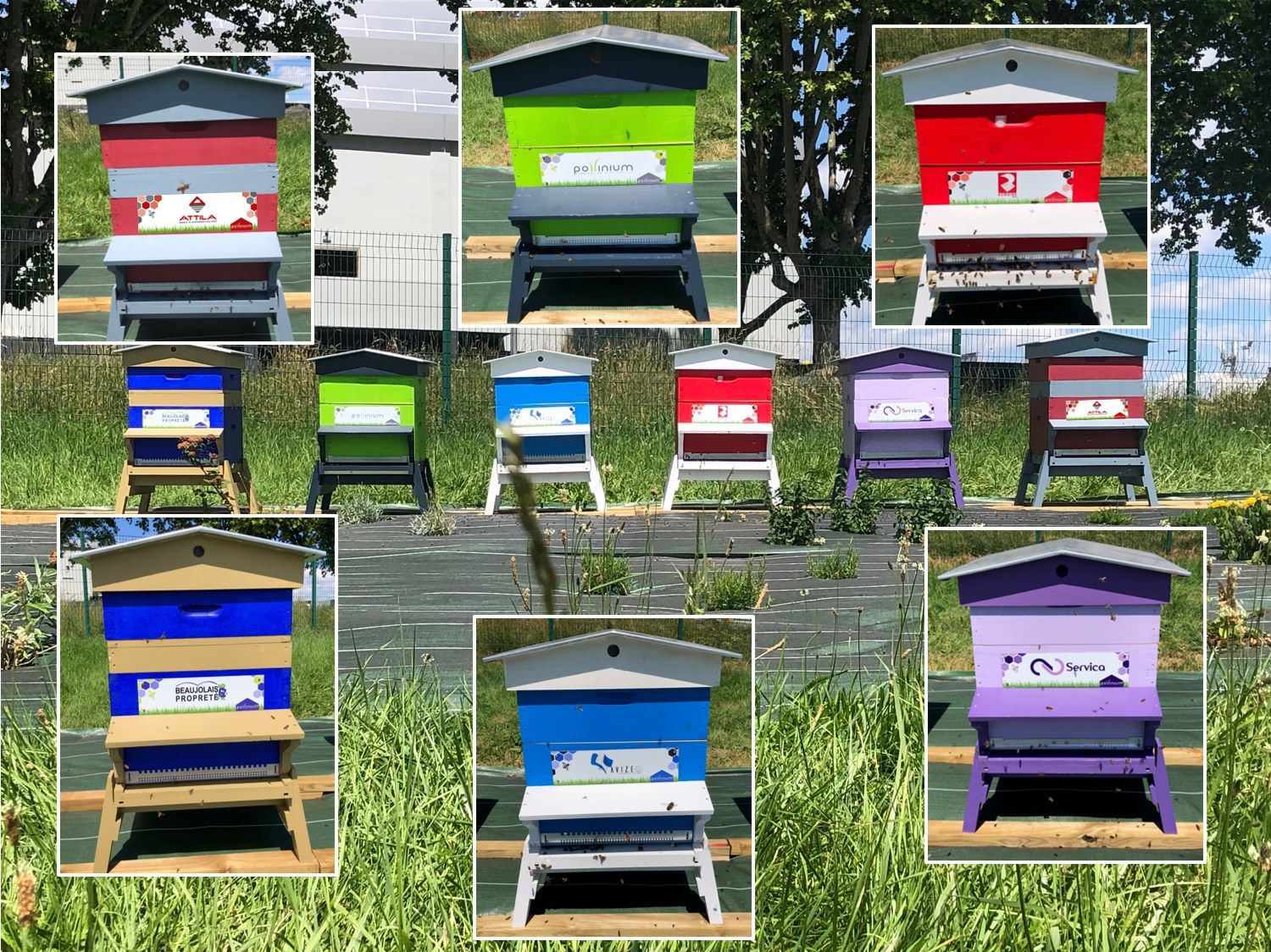 La ruche Attila Villefranche La ruche Attila Villefranche