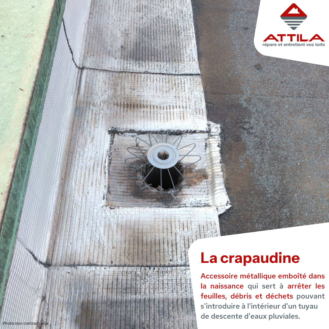 ATTILA : LA CRAPAUDINE, UN PETIT DISPOSITIF EN TOITURE TRES EFFICACE ...