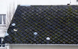 Besoin d'un entretien sur ardoise losangée