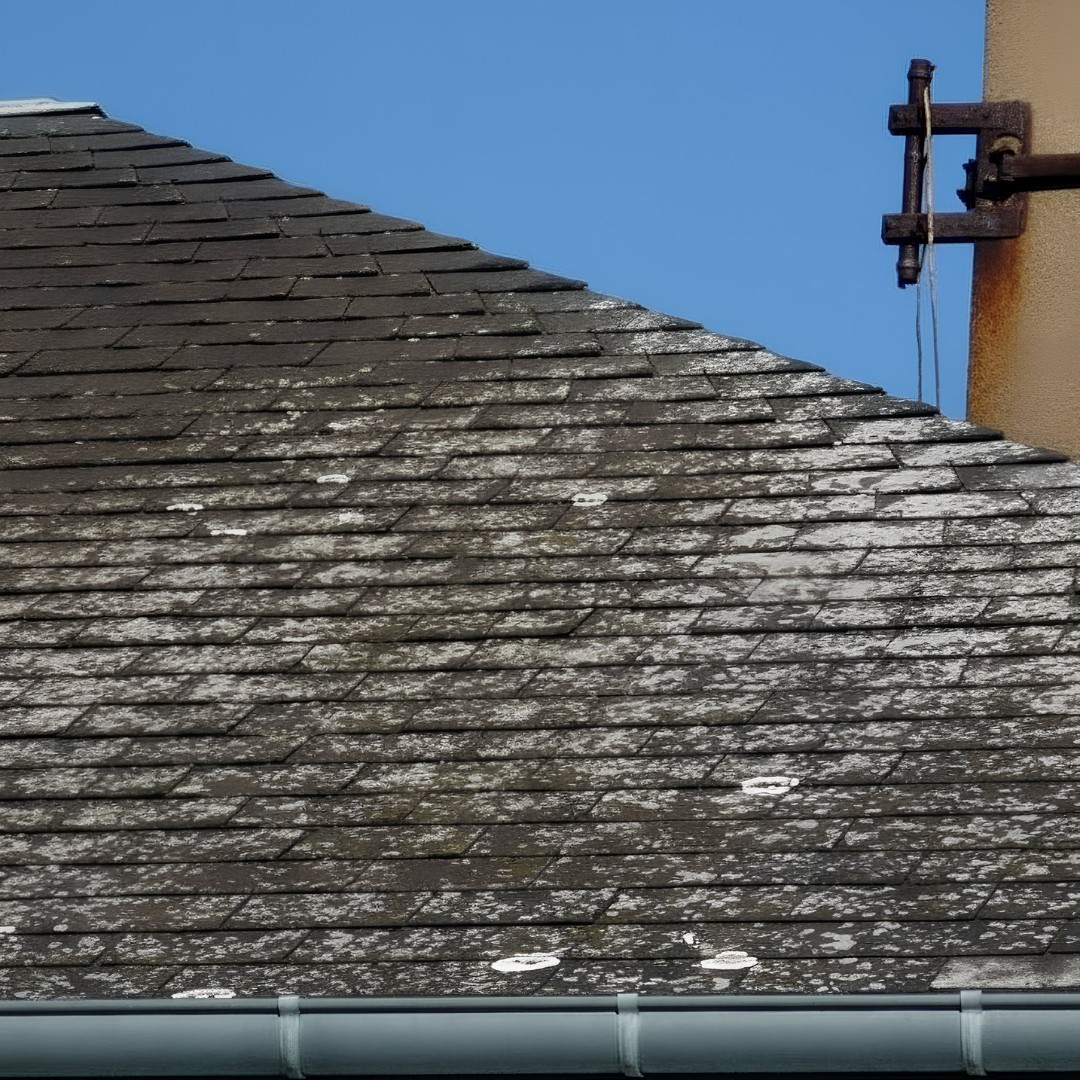Problème de lichen sur couverture en ardoise