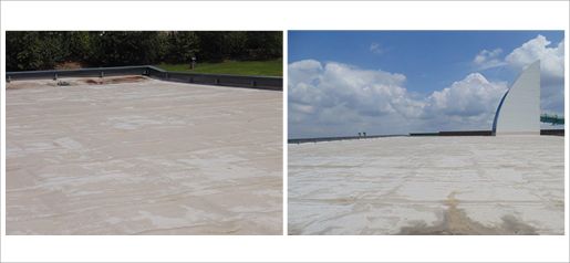 Etanchéite PVC Attila Versailles